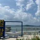 선창감태칼국수 이미지