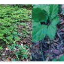 선의농원 이미지