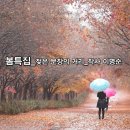 세미기획
