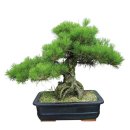 아토농장 이미지