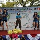 하단1동주민센터 Daum카페