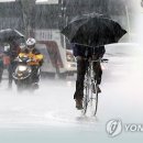 소나기 연합뉴스TV