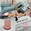 배곧에이플러스 | 배곧 다이어트 배곧 셀포랩 델루나 다이어트 체중관리 추천