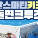 키즈돌핀 이미지