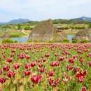 단양 지질공원 탐방객센터 이미지