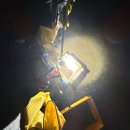 개청순한고양이 | 10웣 일기 근데이제? 추석이있는