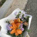 그린인유어룸
