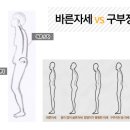 제이에스에스미