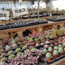 바둑골농촌체험휴양마을 이미지