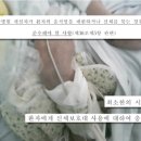 요양병원의 어두운 이면, 연대보증의 덫(소비자리포트 2016-4-15) 이미지