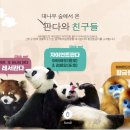 고고판다 이미지