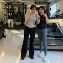 머슬베어짐 이미지