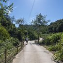 무주읍121 이미지