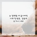정성치과의원 이미지