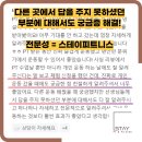 스테이 피트니스 이미지