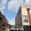 와이즈팜 | 와이즈웨딩 박람회(스타일링 페어) 후기