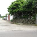 한경면 청수물마을 이미지