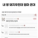 온대 Daum카페
