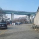 삼부리 이미지