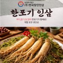 진짜 생인삼을 통째로! 농업회사법인(주)한국장인인삼 '한포기 인삼' 하루 한 팩 시동안녕하세요!