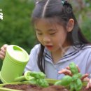 원주삼육초등학교 이미지