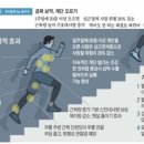 계단꽃
