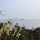 미르코스 이미지