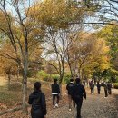 남동119 이미지