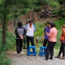 용인랜드 숲속캠핑장 이미지