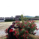 병서네 농장 이미지