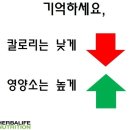 내몸의청소부