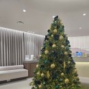 스키니크의원 | 피부관리 울쎄라600샷+온다리프팅&amp;신세계 디올화장품 쇼핑후기