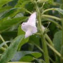 손바닥공원 족구장 이미지