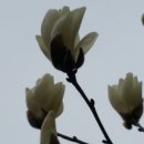 인후공원(배수지) 이미지