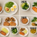 30 | 저탄고지 식단 30일 후기: 효과, 부작용, 현실 후기 총정리