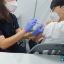"수능 앞두고 불안감 사라져"… 화이자 백신 접종 시작한 고3·교직원