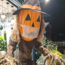 도로시미술학원 이미지