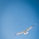 내면탐구 이미지