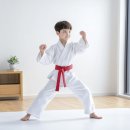 한국체대 MTA 태권도 이미지