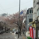 신공주떡볶이 | 합정 벚꽃길 신공주떡볶이 팝업 웨이팅, 가격, 밀키트 후기 총정리