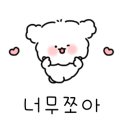 솔레르륀 이미지