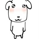 도영1호 이미지