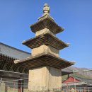 지금은 동(東)의  이미지