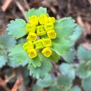 원주굽이길 16코스 매지순환둘레길 이미지