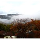 미르오토캠핑장 이미지