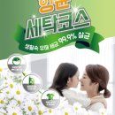 워시엔조이셀프빨래방화서점