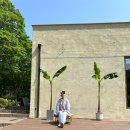 여주-0719 이미지