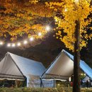 여주-1102 이미지