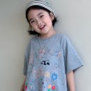 그레이팬더