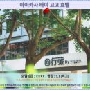 고고환경 | 타이중 호텔 추천: 아이카사 바이 고고 호텔 후기, 가성비 최고!